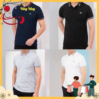 Ana7 - áo polo nam thêu cá sấu xanh cổ viền