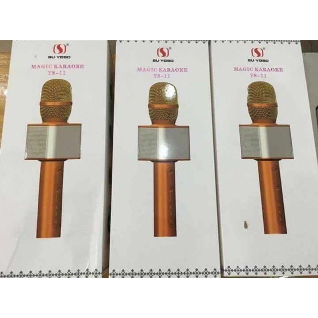 Míc hát YS 11 & WS 858-g61