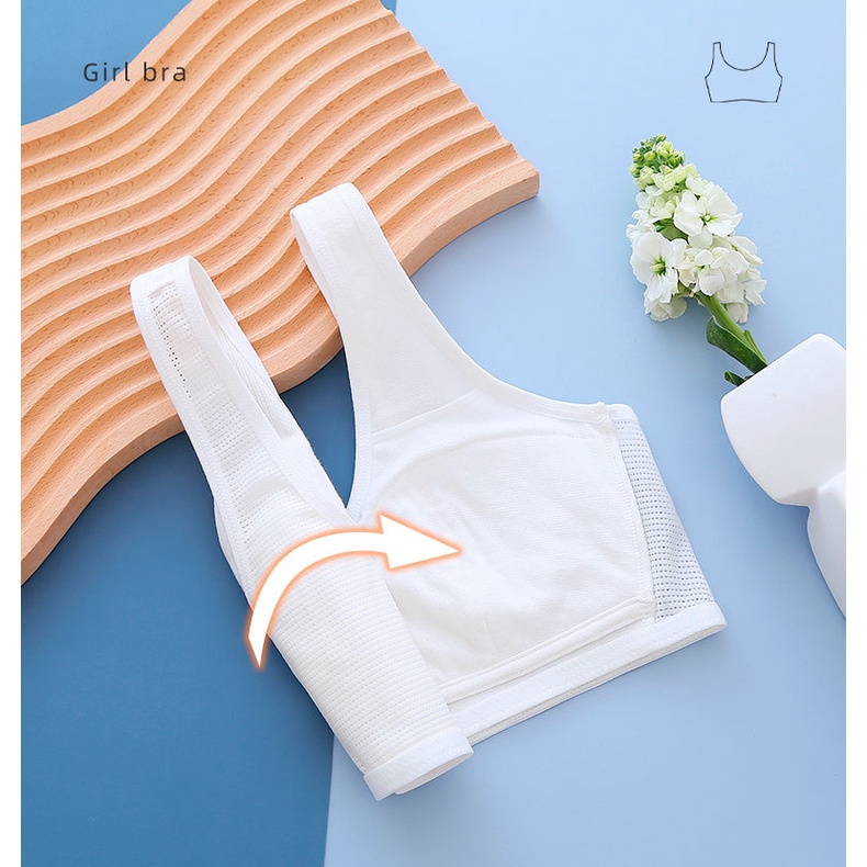 Mẫu Áo Lá Cotton Có Đệm Mút Cho Bé Gái Đi Học