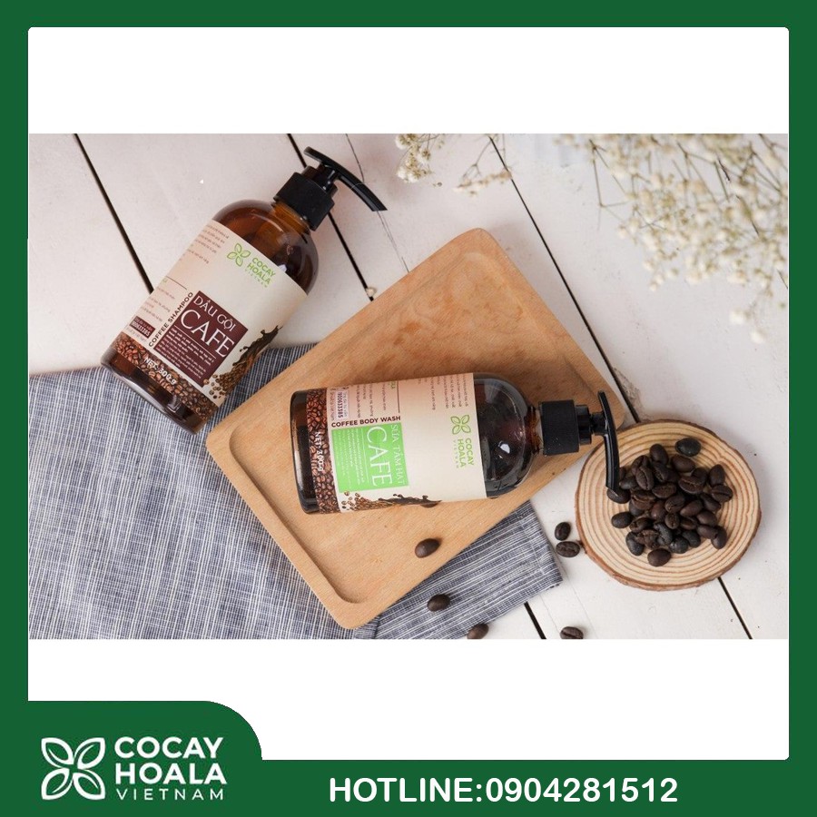 Dầu Gội Cà Phê - Dầu Gội Thảo Dược Cà Phê Trị Liệu Tóc Cocayhoala Chiết Xuất Hạt Cà Phê Arabica 300g | BigBuy360 - bigbuy360.vn