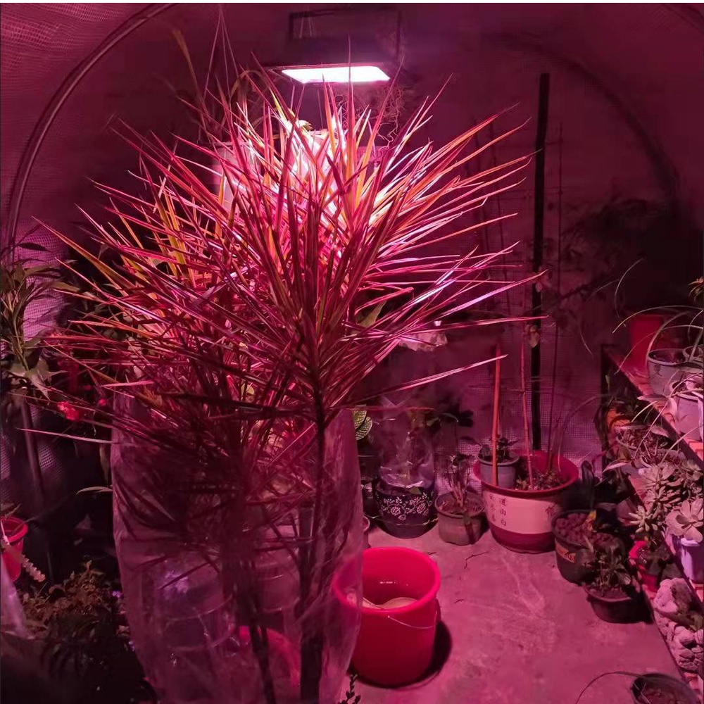 Đèn LED Trồng Cây Năng Lượng Mặt Trời 200W