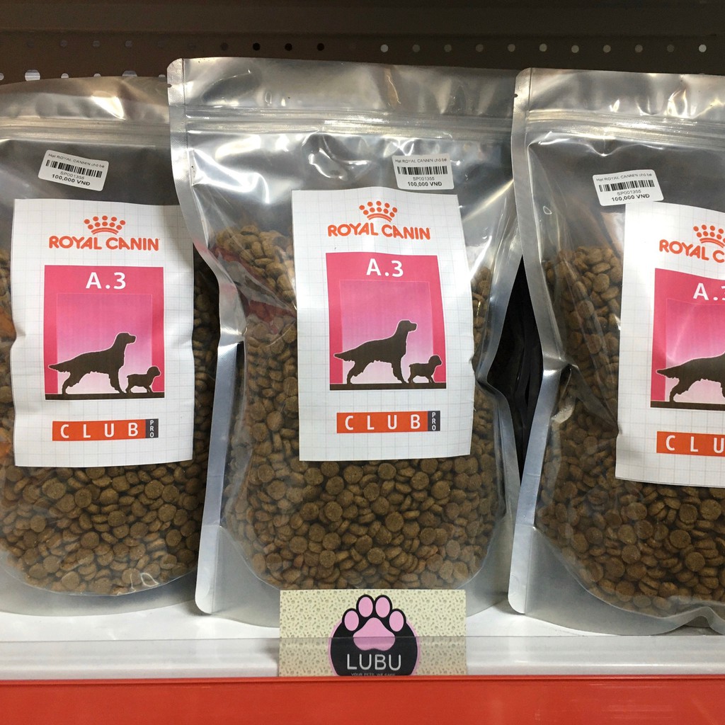 Hạt chó royal canin club pro A3