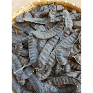 1kg bồ kết khô