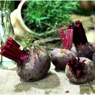 Củ Dền ĐÀ LẠT tươi - Rau củ ĐÀ LẠT