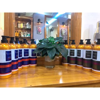 Dầu gội phục hồi và kích thích mọc tóc V76