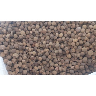 Hạt giống cây tếch (giá tỵ)