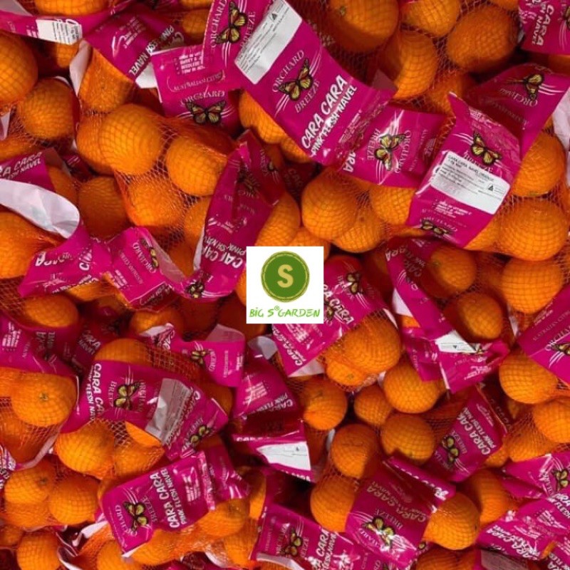 Cây Cam Cara Ruột Đỏ