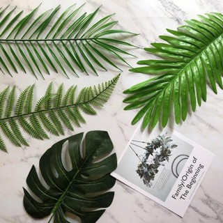 Set 4 lá giả: lá cọ, lá dừa, lá kim, lá dương sỉ làm phông nền chụp ảnh