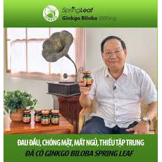 (Hàng nhập) Spring Leaf Ginkgo Biloba – Hỗ trợ hoạt huyết dưỡng não (Lọ 100 viên)