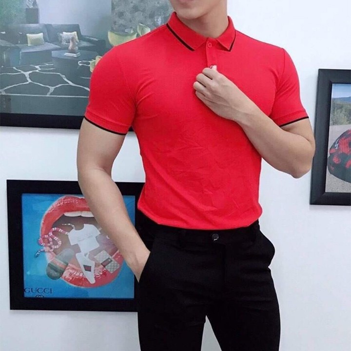 Áo thun áo phông body ngắn tay cổ bẻ tạo viền