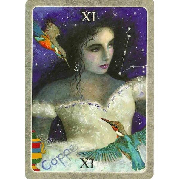 Bộ Bài Secret Language of Birds Tarot (Mystic House Tarot Shop) - Bài Gốc Authentic Chính Hãng 100%