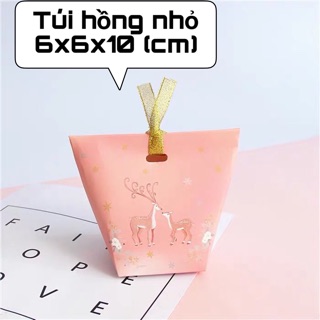 Túi giấy nhỏ để quà noen