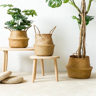 Giỏ cói đựng cây