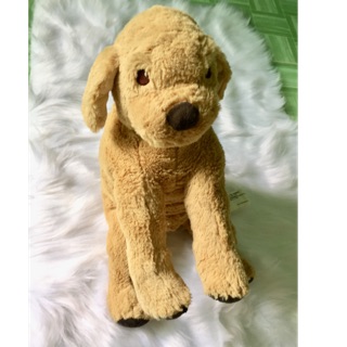 Gấu bông si tuyển chất lượng