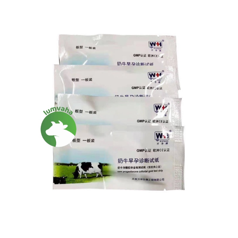 Que thử thai lợn gia xúc trâu bò phát hiện thai sớm VA34