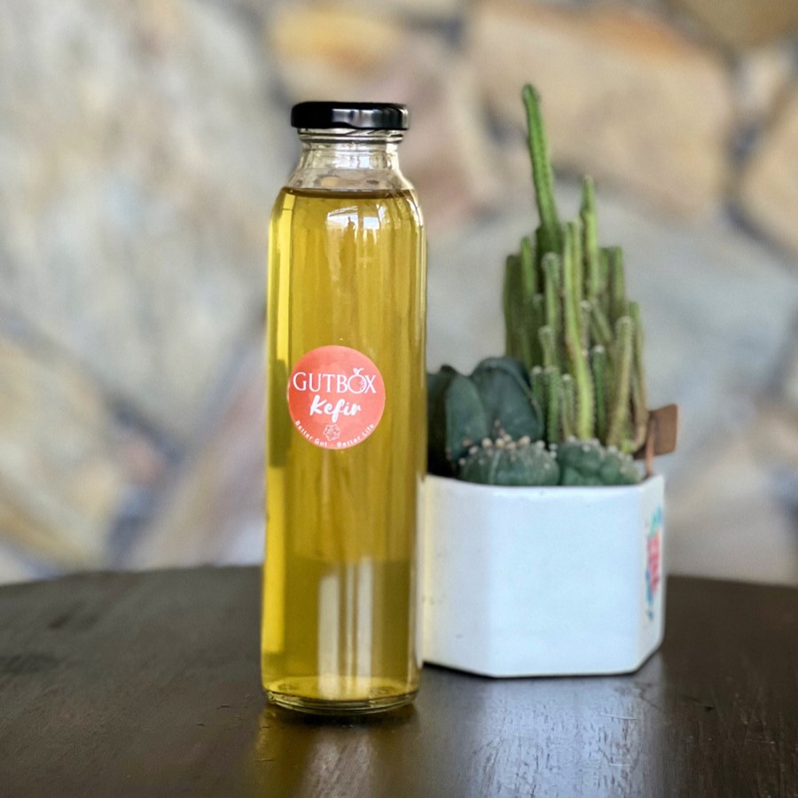 Nấm nước Kefir khỏe, tạo kefir dừa hoặc kefir trái cây