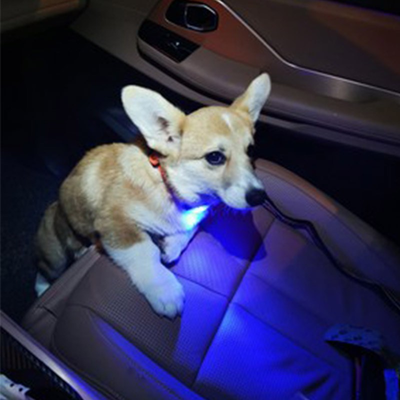 TRUELOVE Pet Dog Led Light Lamp Tag Led Dog Collar Light Pendant Glow Night Safety Led Dogs Flashlight For Collar Harness Leash