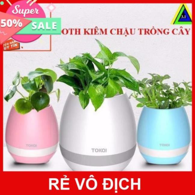 LOA BLUETOOTH KIÊM CHẬU TRỒNG CÂY K3