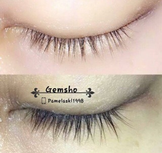 MỌC MI DÀI MI GEMSO.