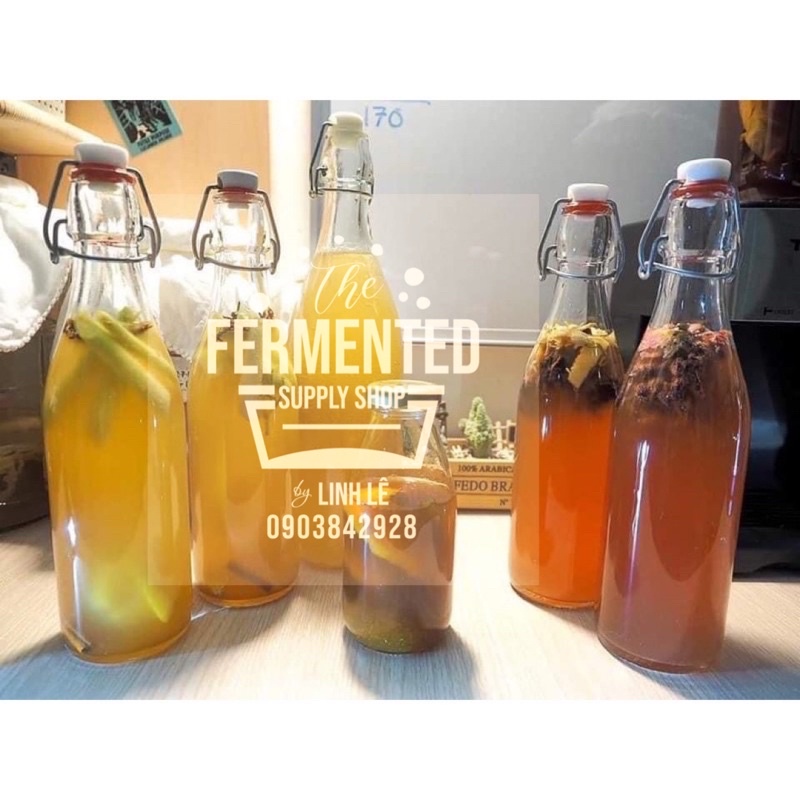 Chai thuỷ tinh nắp gài 500ml chuyên làm lên men F2 kombucha, water kefir nấm nước dừa