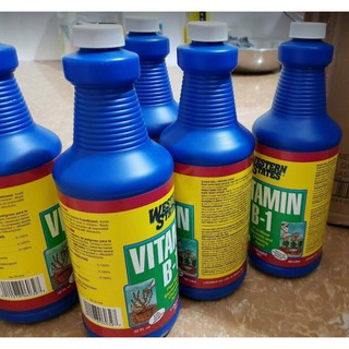 Phân bón bổ xung vitamin B1 Western States chai 946ml nhập khẩu Mỹ