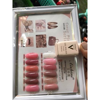 Sơn gel thạch Vinimay