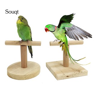 Cầu đứng bằng gỗ cho chim