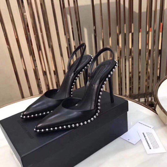 Alexander wang