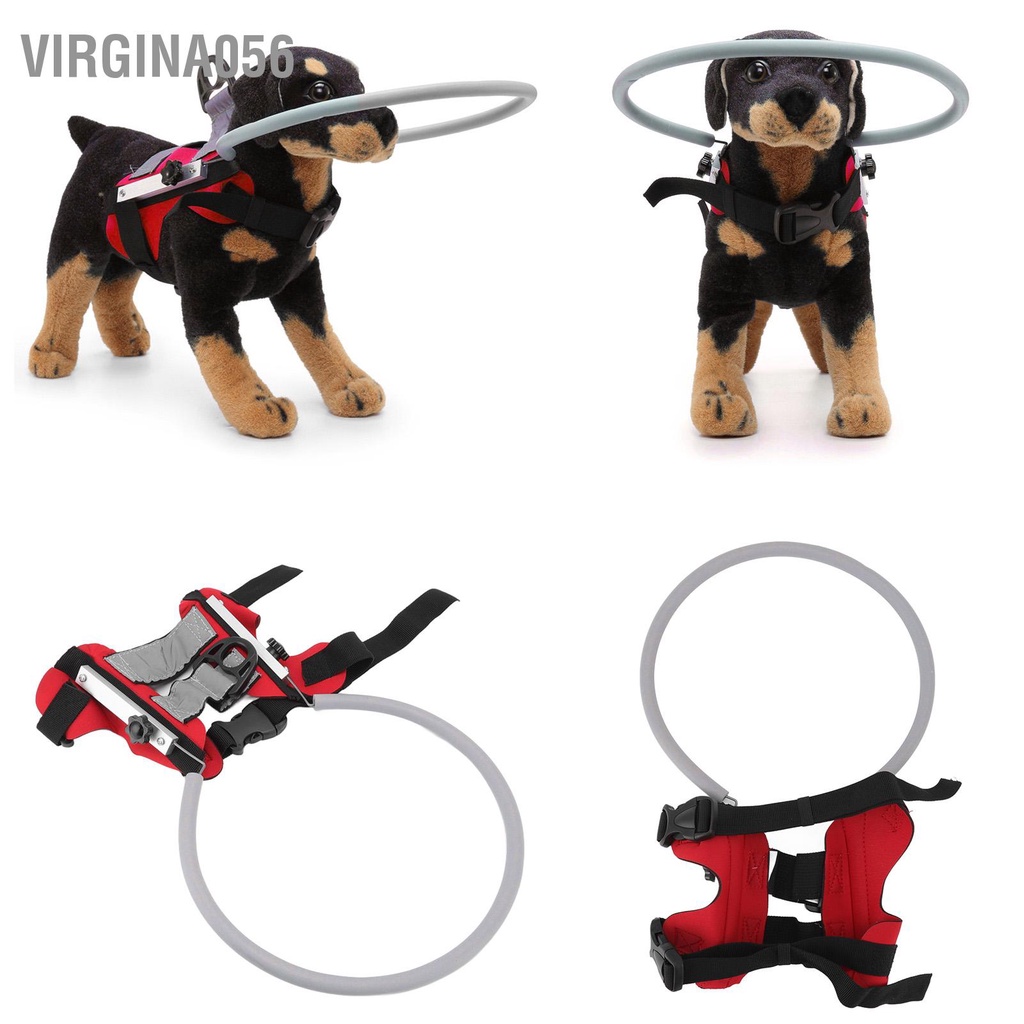Virgina056 Bảo vệ vòng dẫn vành vòng bảo vệ động vật mắt mù mắt mù MYFZ04