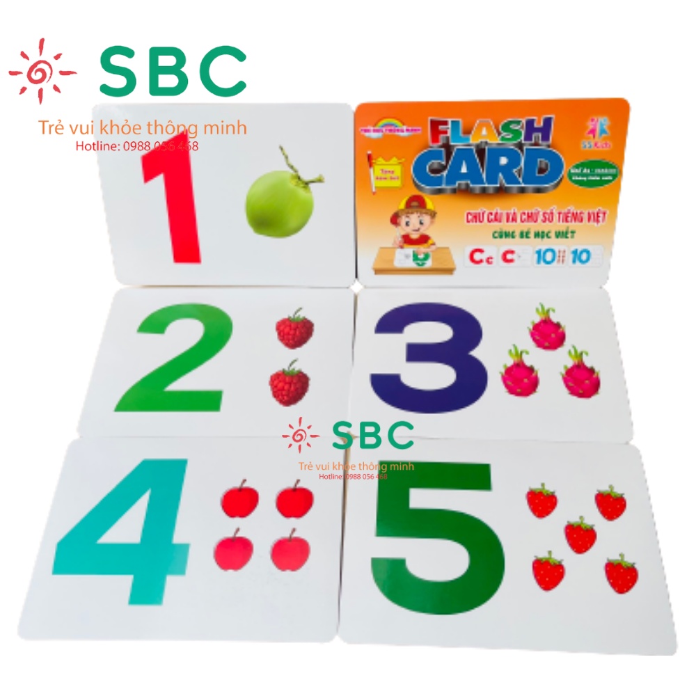 Thẻ học thông minh kích thước lớn 12x16cm tùy chọn - thẻ học in hai mặt Ivory Flashcard TGXQ Glenn doman chuẩn