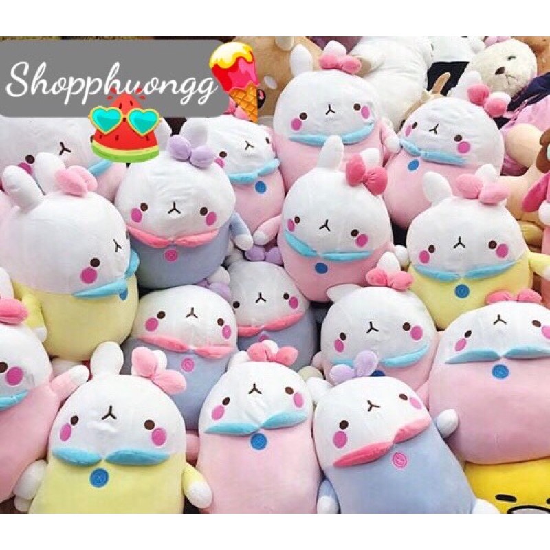 Gấu bông molang size 25-30cm