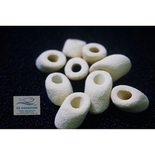 SỨ LỌC CAO CẤP NITRO RING MOUNTAIN TREE MTF229