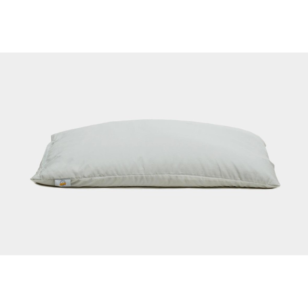 Ruột gối vỏ đậu xanh (40cm x 60cm) giúp bạn ngủ sâu và lâu hơn giảm một số bệnh về đau vai gáy