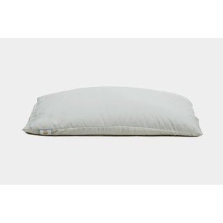 Ruột gối vỏ đậu xanh thấm hút hồ hôi tuyệt đối