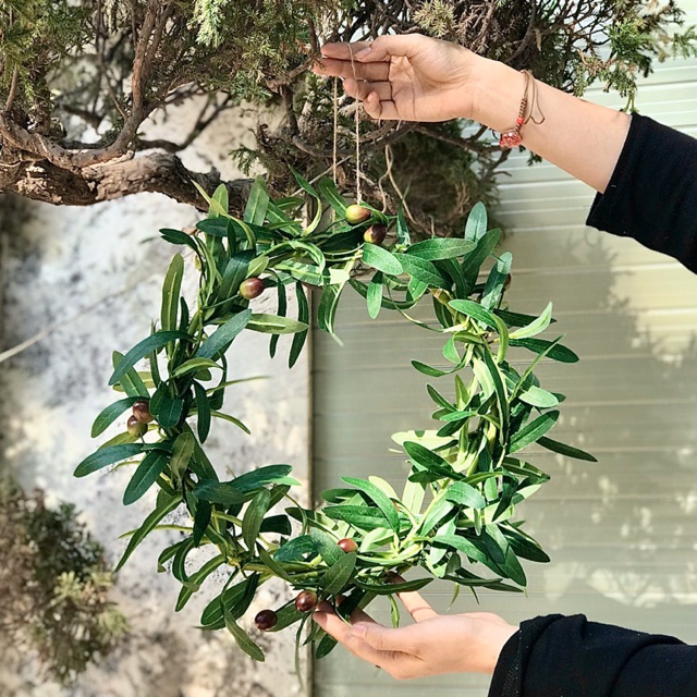 Vòng nguyệt quế lá oliu