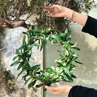Vòng nguyệt quế lá oliu