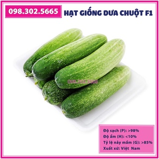 Hạt giống dưa leo, dưa chuột chịu nhiệt - gói 1g - năng suất cao, chất lượng tốt