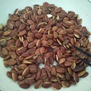 Hạt konia đặc sản núi rừng Tây Nguyên(500gram)