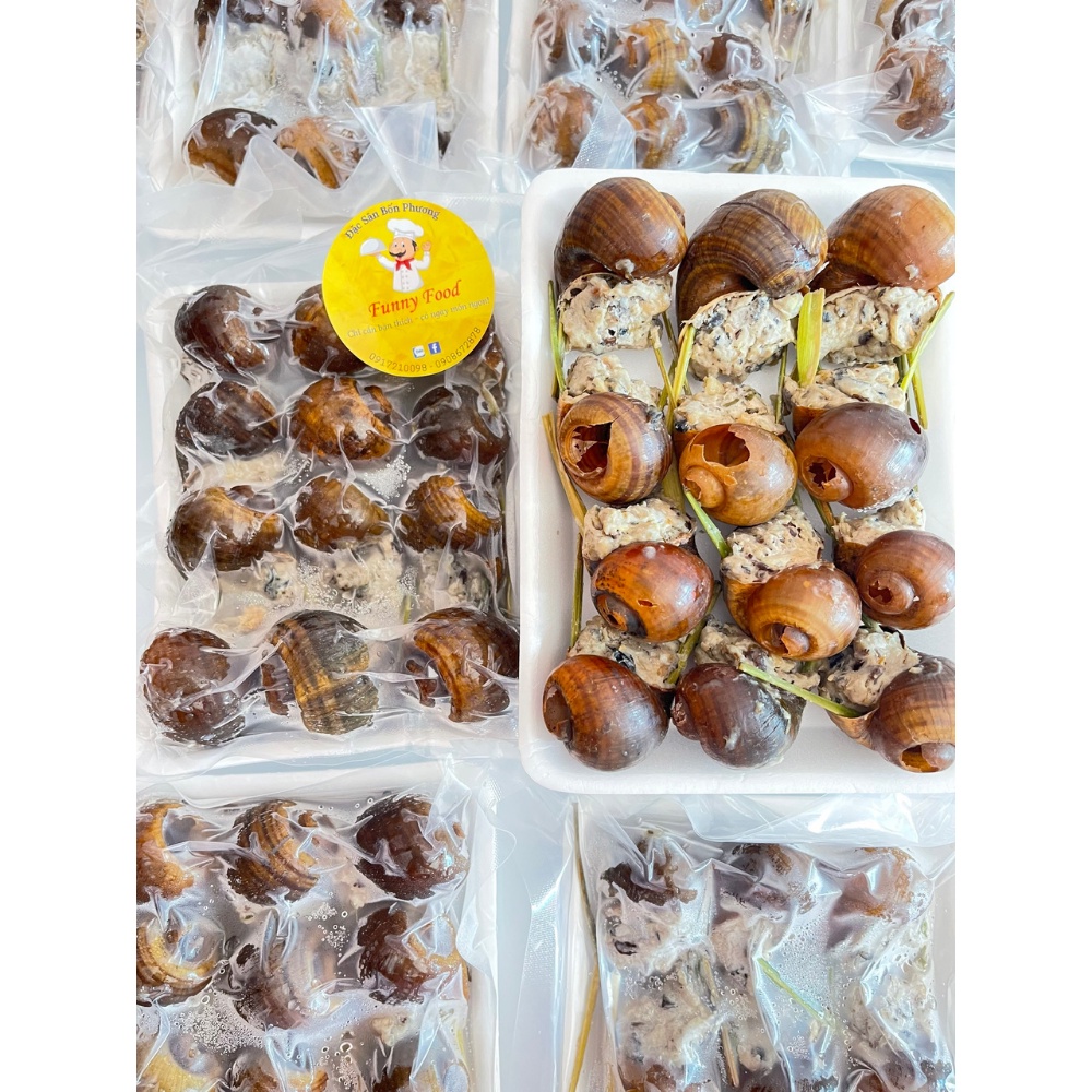 Ốc Bưu Nhồi Thịt [12con/khay] – Ốc Bưu Ngon – [Ship Hỏa Tốc HCM] – Funnyfood