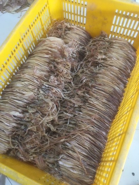 SALE 0,5kg khô mực (size 55 - 65 con 1kg) - Đặc sản Cà Mau | BigBuy360 - bigbuy360.vn
