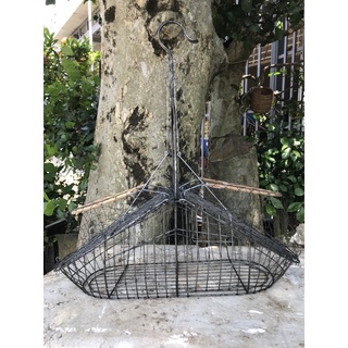 Lụp bẫy chim chào mào, chim choè than