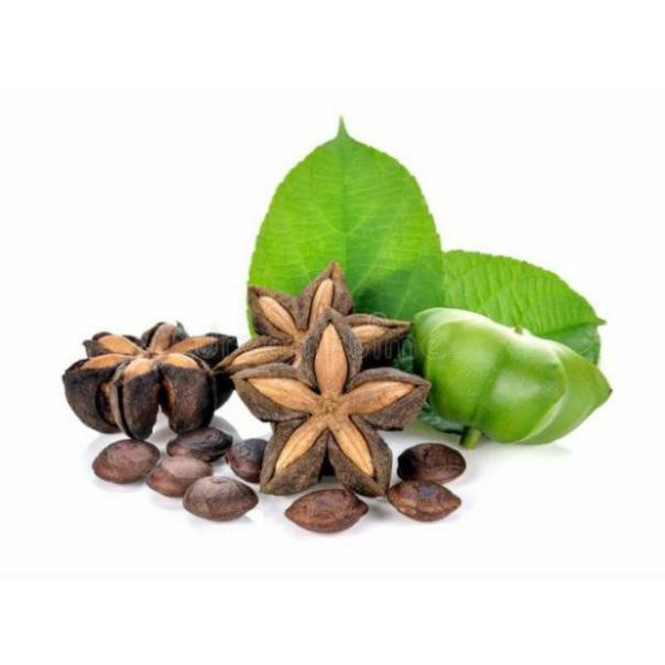 Hạt Sachi sấy chín Oganic Đắklắk thơm ngon