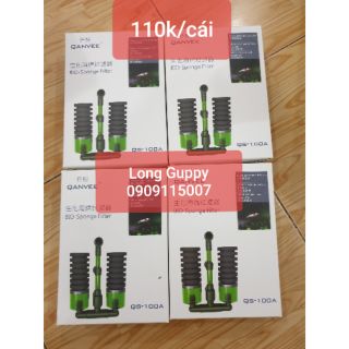 Sủi oxy cho hồ cá hình lá phổi.