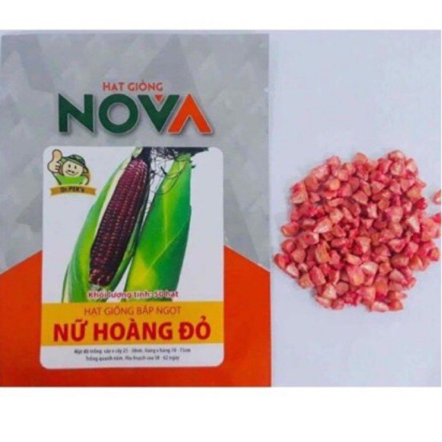 HẠT GIỐNG BẮP NỮ HOÀNG ĐỎ