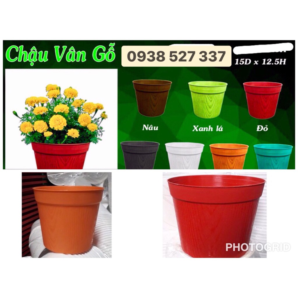 combo 5 chậu hoa nhựa cứng vân gỗ đường kính 15cm cao 12,5cm giá rẻ