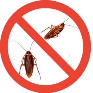 Hàng nội địa Mỹ THUỐC DIỆT GIÁN CỦA MỸ🇺🇸 - AN TOÀN - HIỆU QUẢ 💯