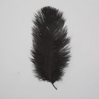 Trang trí sợi lông vũ đen