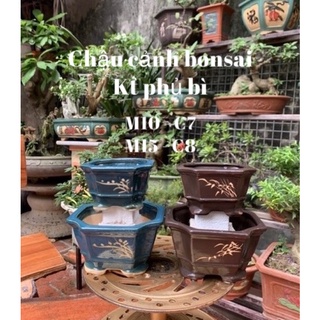 2 Chậu vuông vát trồng thạch xương bồ trồng cây bonsai mini