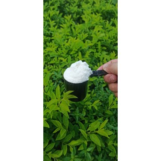 Whey Protein Isolate 90% - Sữa tăng cơ LACTOPROT