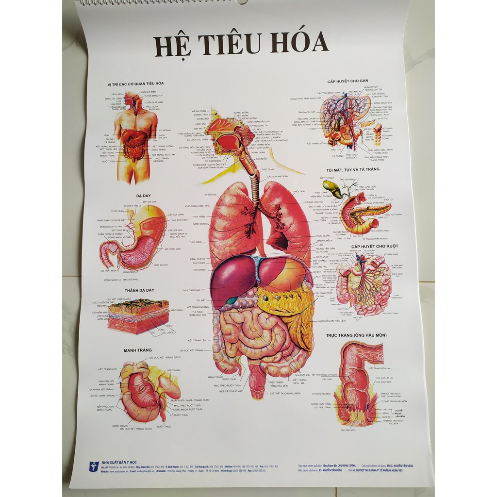 Bộ 13 tranh giải phẫu các hệ cơ quan trong cơ thể người- Nhà xuất bản y học- rõ nét- sinh động- kích thước 50cmx70cm